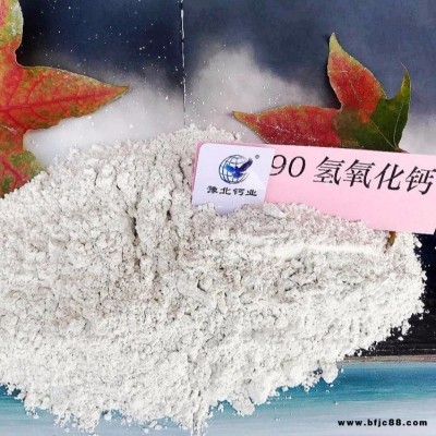現貨供應 ：輝縣氫氧化鈣熟石灰-歡迎考察輝縣強盛環保辦事處