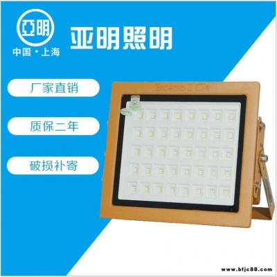 LED防爆燈 250W上海亞明防爆燈 石油廠防爆燈 防爆燈生產(chǎn)廠家