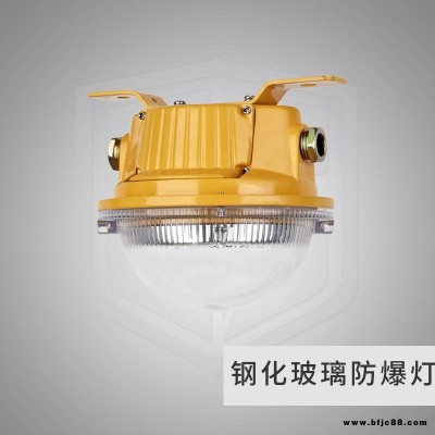 LED防爆燈5W10W20W廠房防水防腐隧道地下室電纜溝 固態防爆吸頂燈