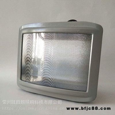 海洋王NSC9720防眩通路燈GT301發電廠車站LED三防防震泛光燈20W防爆燈廠家