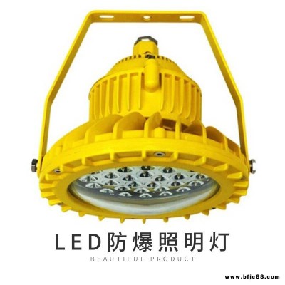 RLEEXL608-XL100防爆燈80W工廠吊桿LED泛光燈