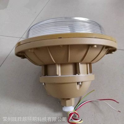 森本SBF6103YQL50防爆無極燈SBF6102YQL40防水防塵防腐三防燈防爆燈廠家