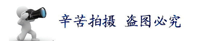 專業(yè)出售 國(guó)標(biāo)工字鋼 18#合金工字鋼 優(yōu)質(zhì)昆明型材示例圖2