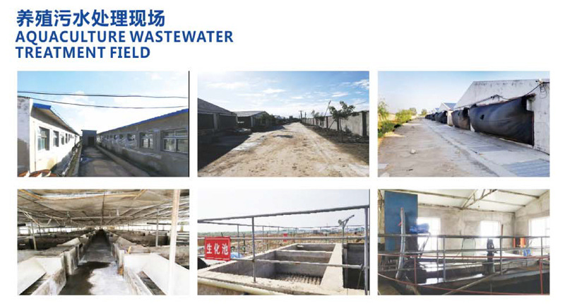 帶式污泥脫水機 帶式壓濾機 洗砂污泥壓濾機 三網壓濾機示例圖5