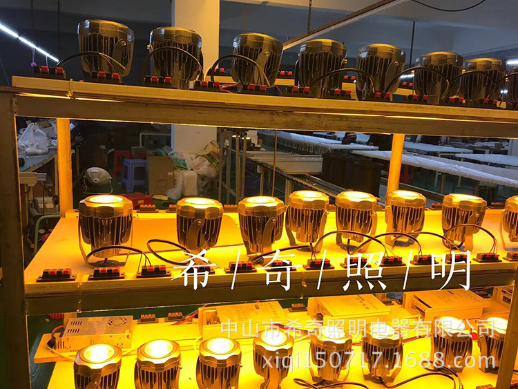 工廠促銷一束光射燈戶外防水洗墻燈窄光led聚光燈投光燈10w遠程示例圖28