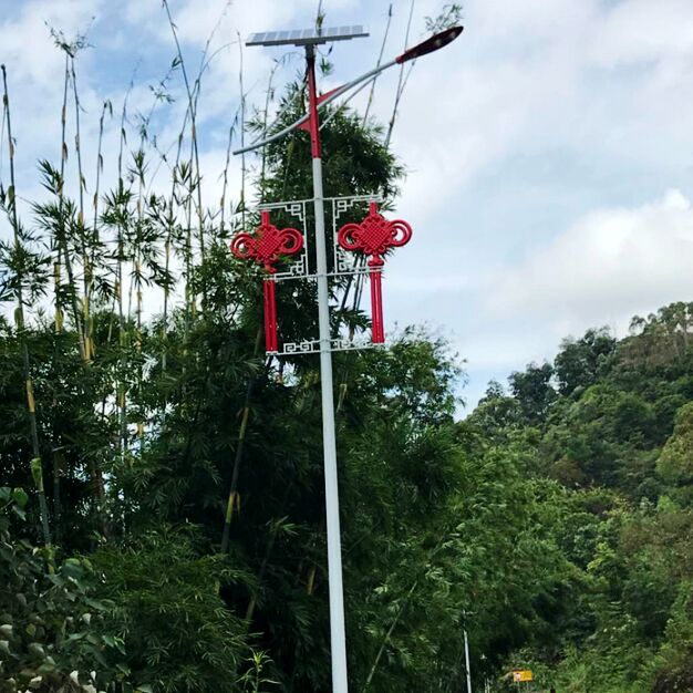 秦皇島農(nóng)村路燈廠家 新農(nóng)村路燈6米接電led燈	 農(nóng)村扶貧路燈