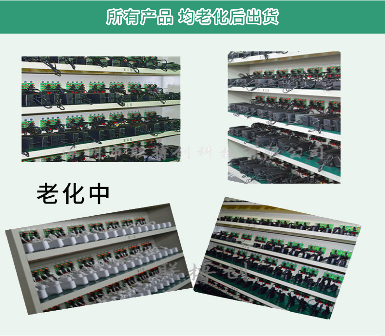 摩托車12.6V8A強(qiáng)光手電筒礦燈充電器汽車電瓶電動(dòng)車充電器直銷示例圖24