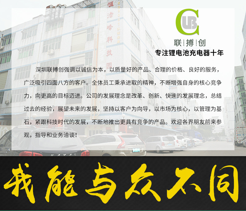 摩托車12.6V8A強(qiáng)光手電筒礦燈充電器汽車電瓶電動(dòng)車充電器直銷示例圖7
