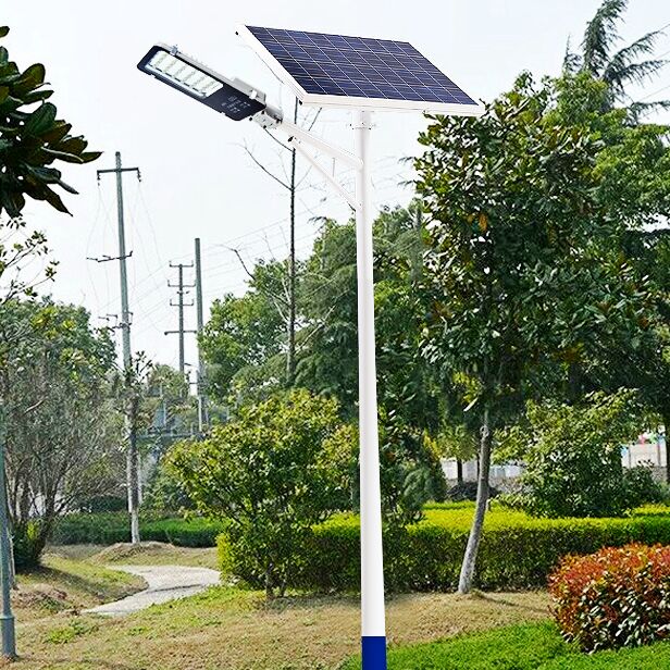 秦皇島6米太陽能路燈廠家 新農村路燈6米接電led燈	 太陽能路燈
