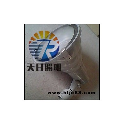 GT65/GT70/GT75投光燈具 GDTG168投光燈 天日照明投光燈 GDTG130節(jié)能投光燈
