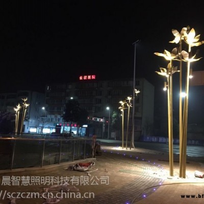 四川園林景觀燈丶綿陽不銹鋼景觀燈-中晨智慧照明