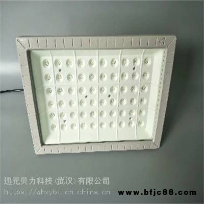 ZBD112-100W儲(chǔ)備庫支架式防爆投光燈