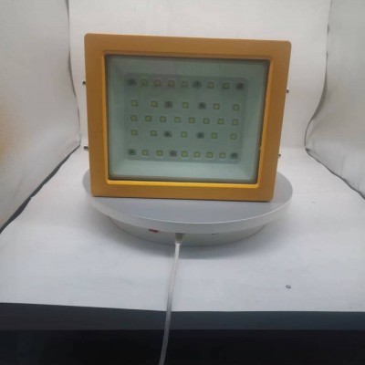 防爆燈具 隔爆型LED巷道燈 LED防爆投光燈 防塵工廠燈