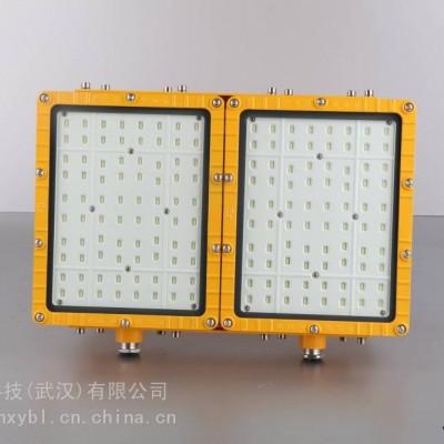 RLEEXL5330-50W 隔爆型led投光燈RLEEXL5330-400W固定式防爆泛光燈