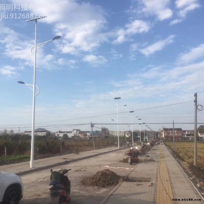 供應FNZH伍玖照明TYN15新農村建設 亮化特色小鎮建設仿古6M常州太陽能雙臂路燈廠家LED景觀燈庭院燈廠家批發