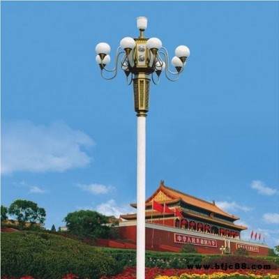 祥泰庭院燈 高桿燈 景觀燈 監(jiān)控桿 中桿燈