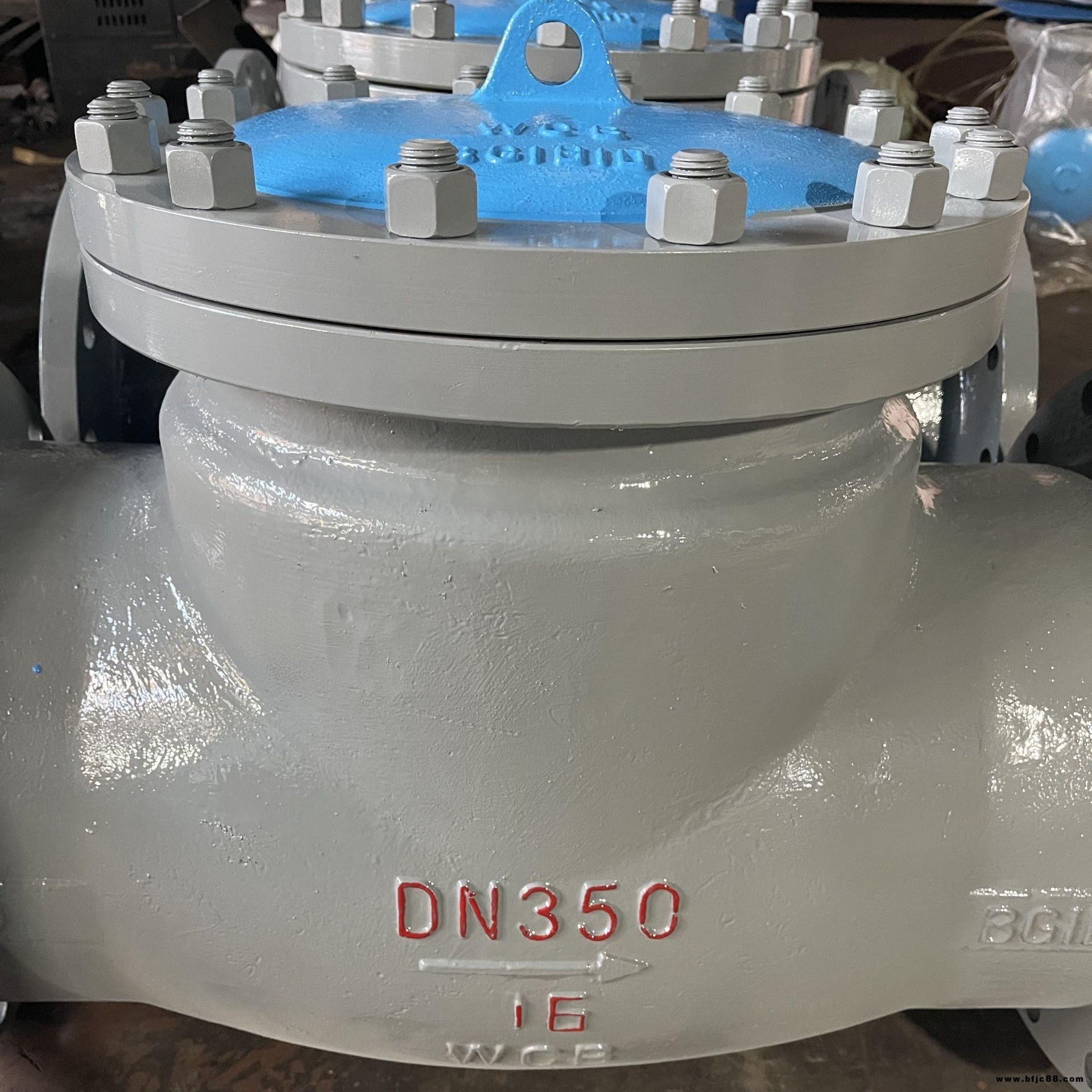 止回閥大口徑  H42立式止回閥  H44/H41 旋啟式/升降式 弗西尼 可定制非標(biāo)