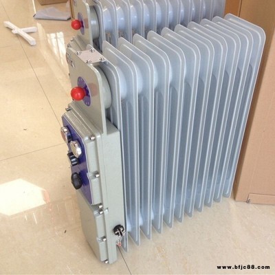 防爆電暖器WK-2.0礦用防爆電熱取暖器 廠家發(fā)貨 售后保障 沃克