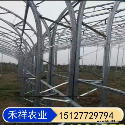 溫室大棚雙膜骨架 新型雙膜骨架大棚 雙層溫室大棚 雙膜骨架蔬菜大棚 禾祥農業