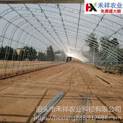 雙梁雙膜大棚 禾祥農業 蔬菜雙膜骨架大棚 雙膜大棚骨架 安裝施工方便