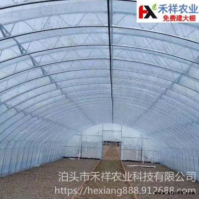 雙膜大棚 禾祥農業 廠價供應 100型雙膜骨架 雙膜大棚骨架 結實耐用