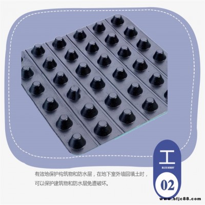 排水板東營(yíng)廠家，供應(yīng)東營(yíng)排水板，生產(chǎn)排水板東營(yíng)潤(rùn)果實(shí)業(yè)集團(tuán)