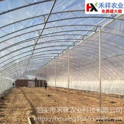 大棚骨架雙膜 大棚雙膜骨架廠家 雙膜大棚骨架 禾祥農(nóng)業(yè) 可上門安裝