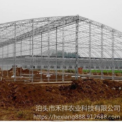 雙骨架雙層膜溫室 雙膜骨架蔬菜大棚 雙層溫室大棚 大棚骨架雙膜 禾祥農(nóng)業(yè)