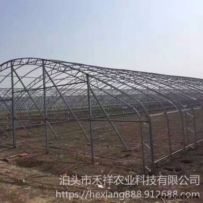 雙層溫室大棚 大棚骨架雙膜 禾祥農業 雙骨架雙層膜溫室 雙膜骨架蔬菜大棚