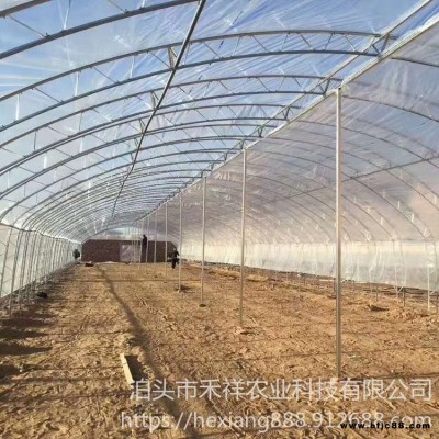 大棚雙膜骨架 禾祥農業 雙梁溫室大棚鋼架 鋼架大棚蔬菜大棚 雙膜骨架蔬菜大棚 花卉養殖大棚