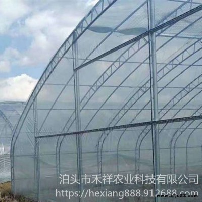 雙膜骨架蔬菜大棚 禾祥農業 溫室大棚雙膜骨架 桁架雙模大棚骨架廠家