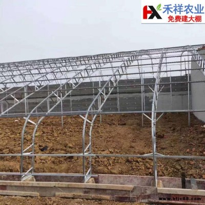 禾祥農業 雙膜大棚廠家 雙膜大棚骨架 連棟大棚骨架 可按客戶要求加工定做