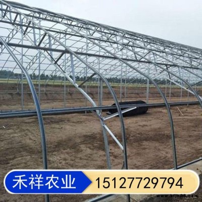 雙骨架雙層膜溫室 雙膜骨架蔬菜大棚 雙層溫室大棚 日光溫室暖棚 禾祥農業