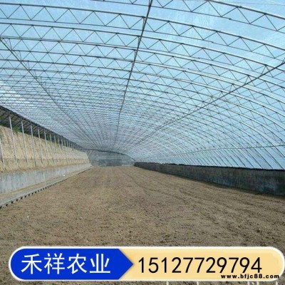 養殖大棚 溫室大棚雙膜骨架 禾祥農業 雙膜大棚骨架 櫻桃種植大棚