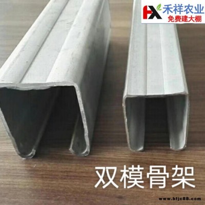 雙膜大棚骨架 禾祥農業 批發供應 農業蔬菜種植雙膜大棚骨架