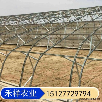 禾祥農業 雙膜大棚骨架 雙拱雙膜連棟大棚 雙層溫室大棚 農業大棚骨架廠