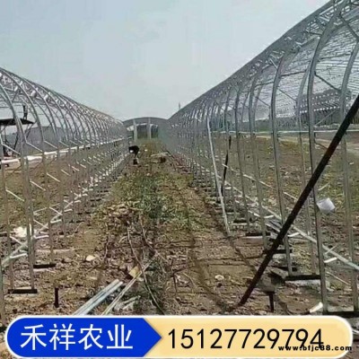 雙膜骨架蔬菜大棚 畜牧養殖大棚 桁架雙模大棚骨架廠家 禾祥農業 雙骨架雙層膜溫室