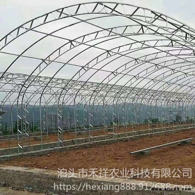 花卉養殖大棚 蔬菜大棚骨架 大棚雙膜骨架 禾祥農業 雙膜骨架大棚