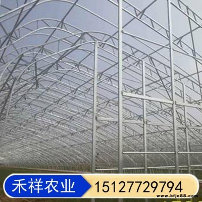 花卉養殖連棟連體大棚 大棚搭建 溫室大棚雙膜骨架 雙膜骨架蔬菜大棚 禾祥農業