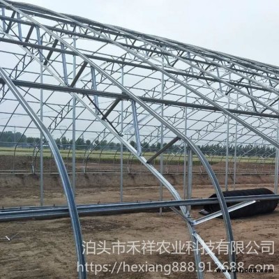 溫室大棚雙膜骨架 溫室大棚 大棚骨架廠家 雙膜骨架蔬菜大棚 禾祥農業