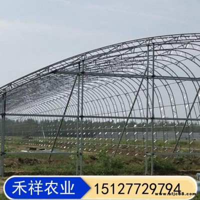 畜牧養殖大棚 桁架雙模大棚骨架廠家 禾祥農業 雙骨架雙層膜溫室 雙膜骨架蔬菜大棚