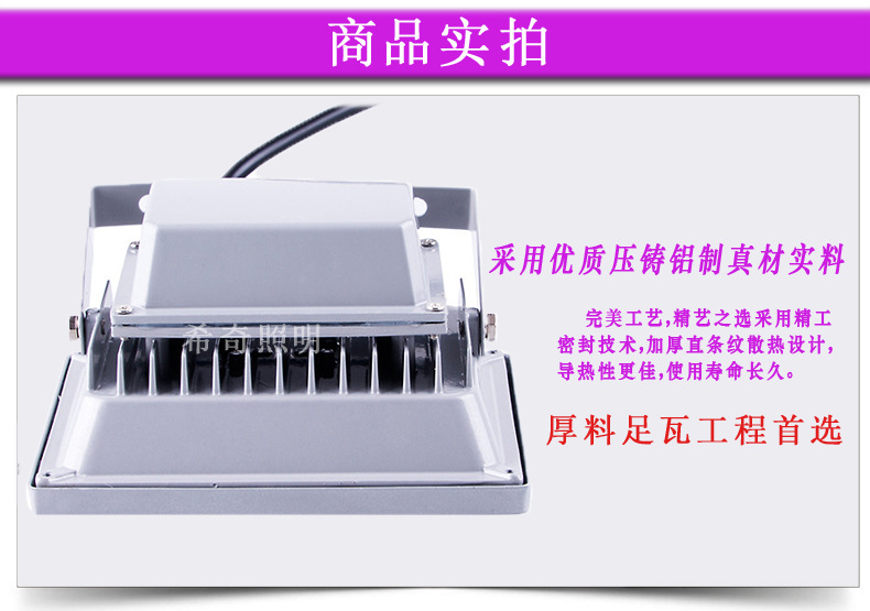 LED戶外投光燈廣告照明泛光燈投射燈工程專用地埋投光燈50W示例圖5