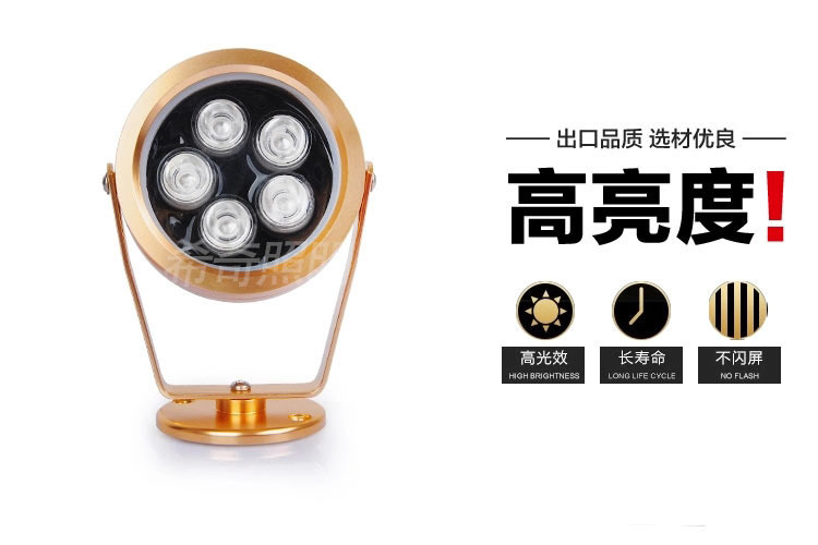 戶外防水3W5W土豪金色投射燈庭院花園亮化led投光燈照樹燈示例圖3