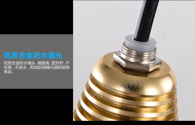 戶外防水3W5W土豪金色投射燈庭院花園亮化led投光燈照樹燈示例圖16