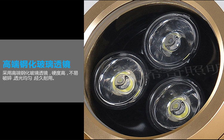 戶外防水3W5W土豪金色投射燈庭院花園亮化led投光燈照樹燈示例圖15