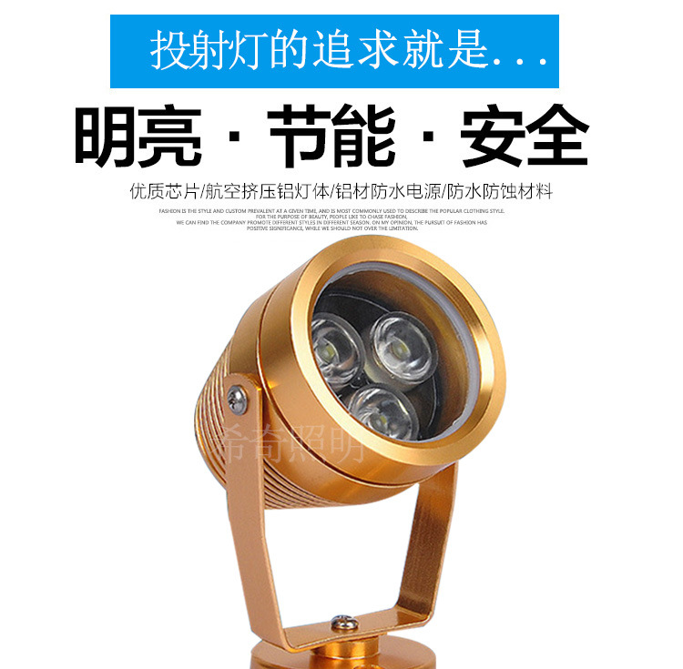 戶外防水3W5W土豪金色投射燈庭院花園亮化led投光燈照樹燈示例圖1