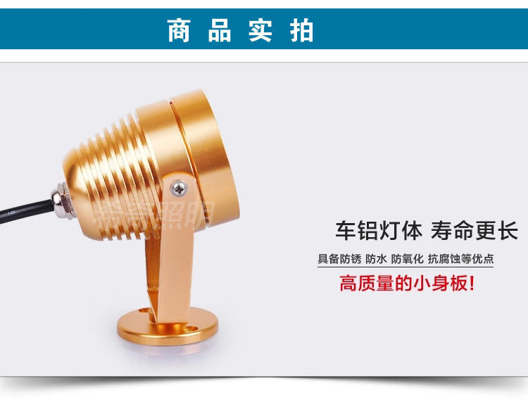 戶外防水3W5W土豪金色投射燈庭院花園亮化led投光燈照樹燈示例圖10