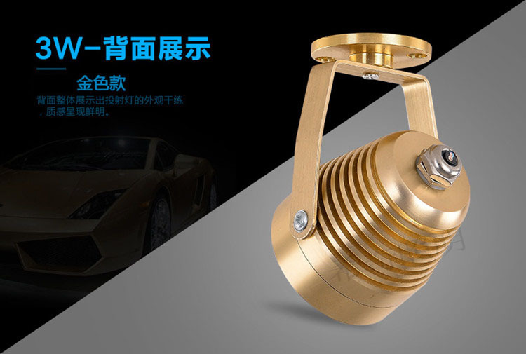 戶外防水3W5W土豪金色投射燈庭院花園亮化led投光燈照樹燈示例圖6