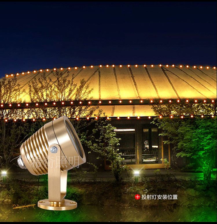 戶外防水3W5W土豪金色投射燈庭院花園亮化led投光燈照樹燈示例圖5