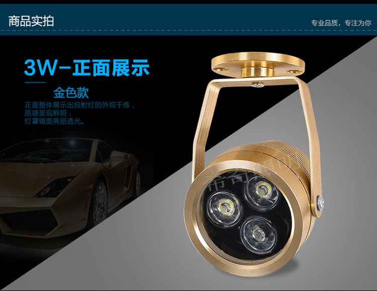 戶外防水3W5W土豪金色投射燈庭院花園亮化led投光燈照樹燈示例圖2